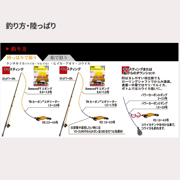アオリーQ RS 2.0号